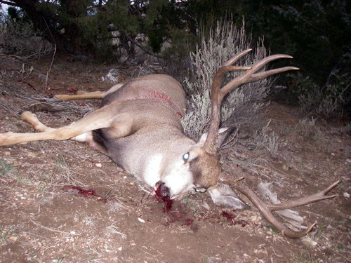 IMGP0077.JPG IMGP0077.JPG