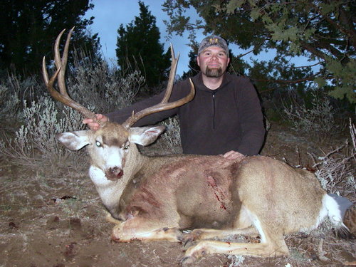 IMGP0083.JPG IMGP0083.JPG