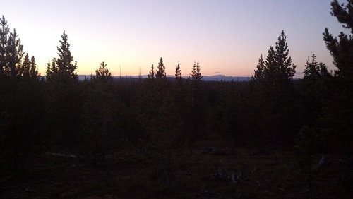 early morning elk country.jpg