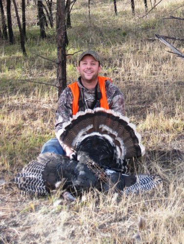 Fall Turkey2-sized.JPG