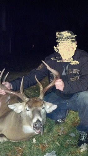 Deer hit on 7th Ave (Edit).jpg