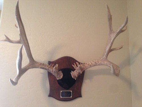 Hunt - Granddad's last buck .JPG