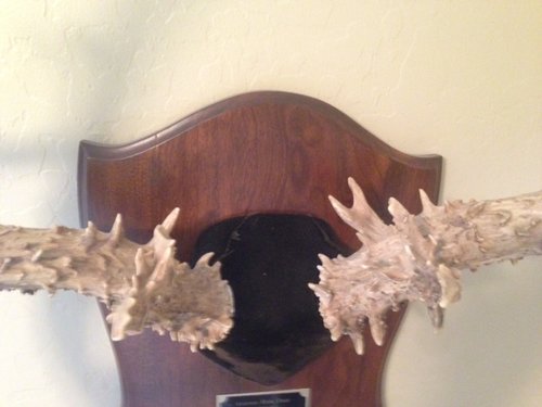 Hunt - Granddad's last buck front close.JPG