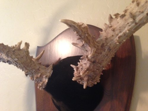 Hunt - Granddad's last buck left close.JPG