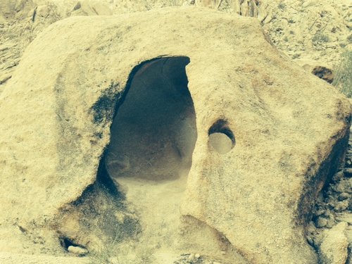 40B sheep bed in cave.JPG