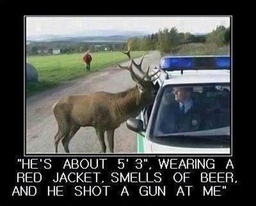 911 call.jpg