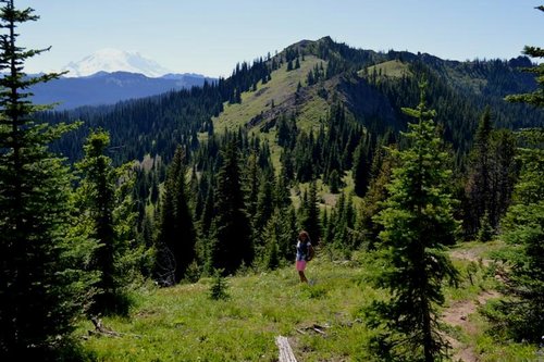 DSC_0825.JPG