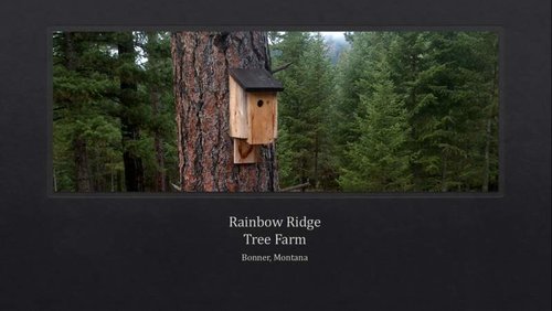 Screenshot (8).jpg