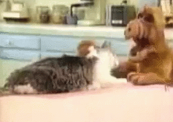 1673463901031.gif 1673463901031.gif