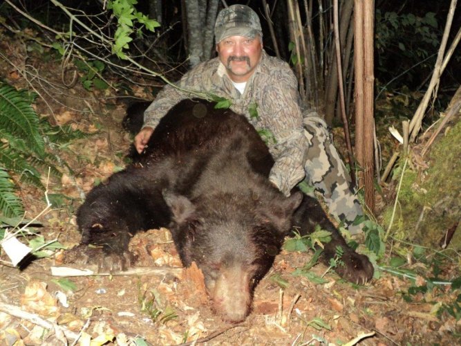 2014 Bear 010.jpg 2014 Bear 010.jpg