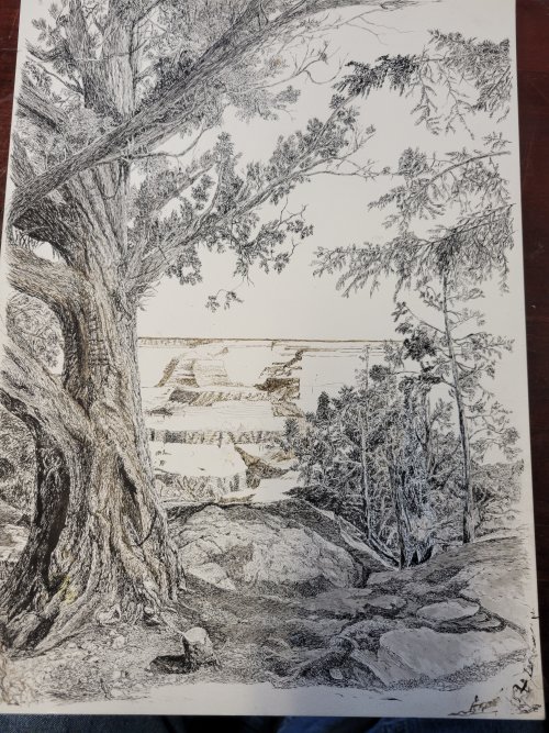 16739876435773120485026417482255.jpg