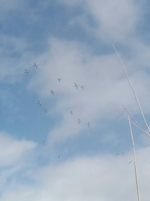 20230118_083942.jpg 20230118_083942.jpg