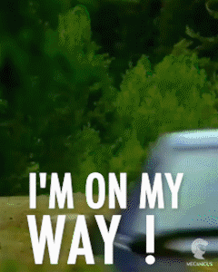 giphy-4.gif giphy-4.gif