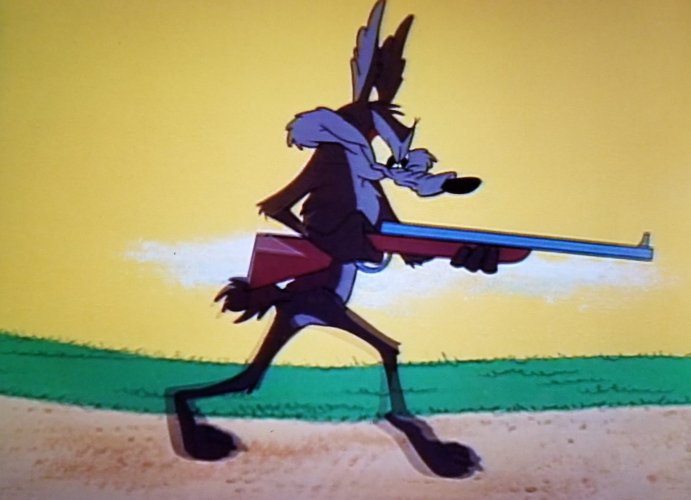 Wile E Coyote.jpg Wile E Coyote.jpg
