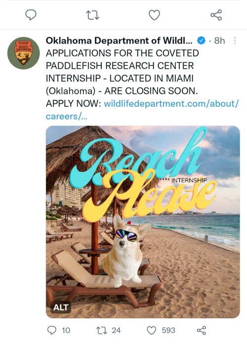 Screenshot_20230119-174501_Twitter.jpg Screenshot_20230119-174501_Twitter.jpg