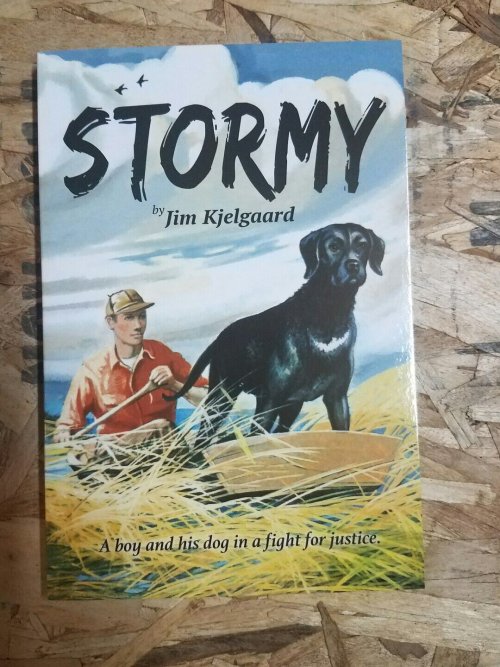 stormy.jpg stormy.jpg