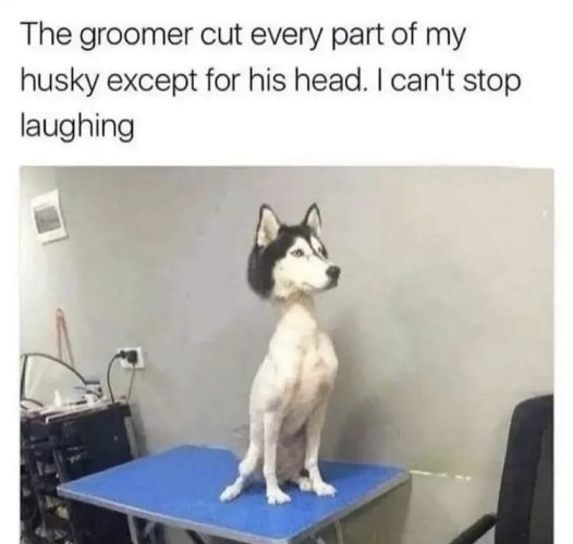 B0D9B535-C782-42F4-93DB-9BC028A01F4E.jpeg