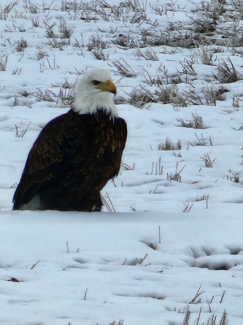 20230126_112912.jpg 20230126_112912.jpg