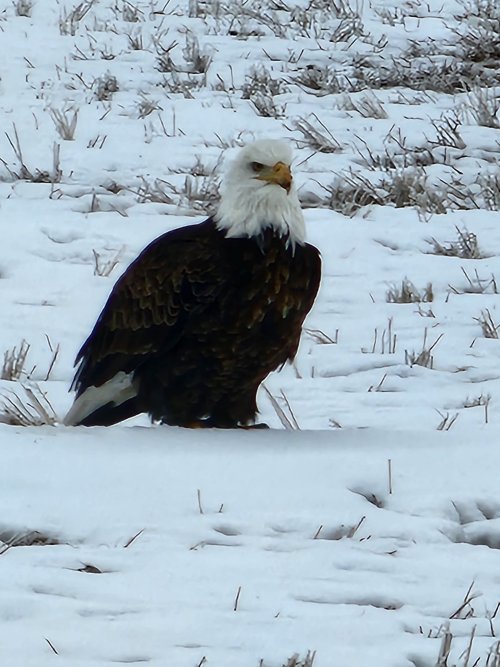 20230126_112919.jpg 20230126_112919.jpg