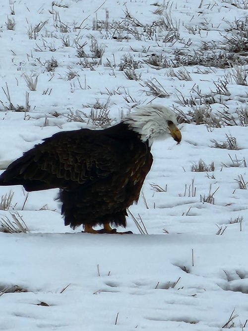 20230126_112923.jpg 20230126_112923.jpg