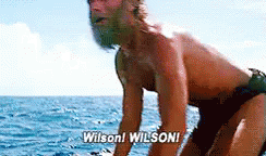 wilson-castaway.gif wilson-castaway.gif