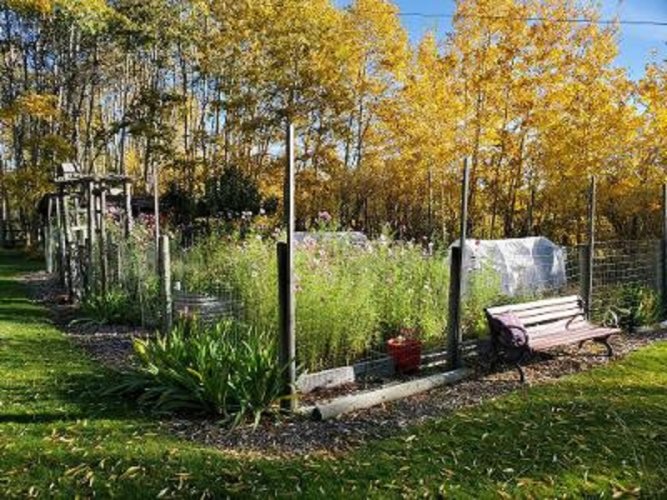 Garden south.jpg Garden south.jpg