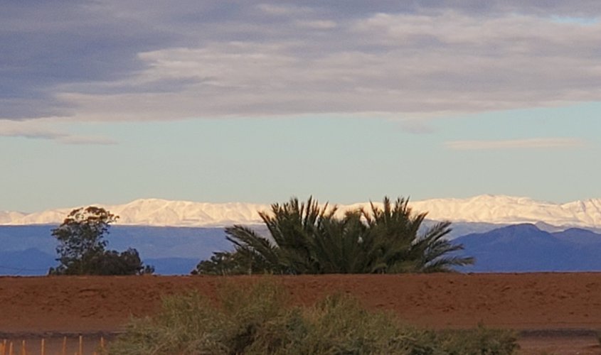 20230131_080930.jpg 20230131_080930.jpg