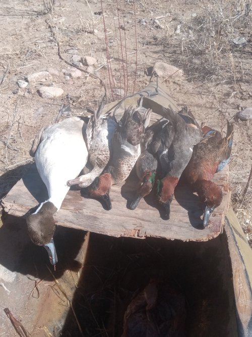 20230130_112732.jpg 20230130_112732.jpg
