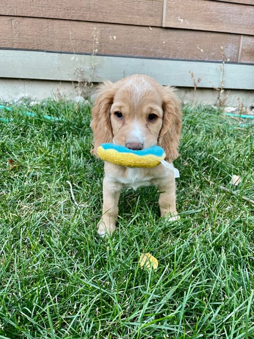 Winifred 1.jpg Winifred 1.jpg