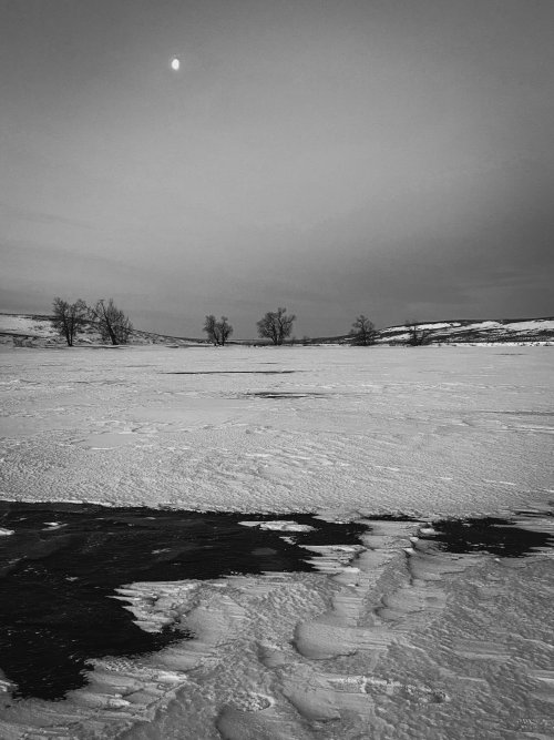 A04D5C68-CC5D-43D8-906C-E1F559469F80.jpeg