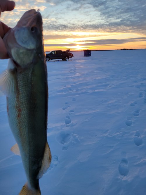 20230210_080158.jpg 20230210_080158.jpg