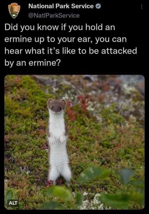 FB_IMG_1676268744326.jpg