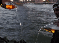 1676389856681.gif