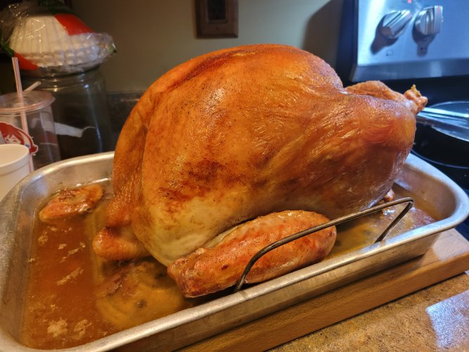 20230219_130657.jpg