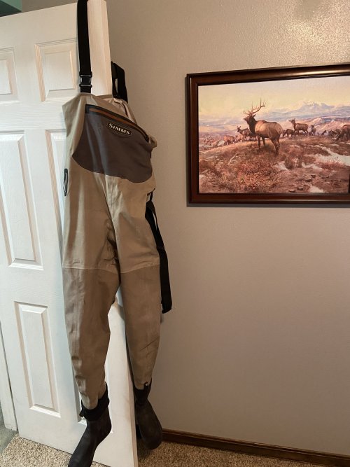 Waders.jpg