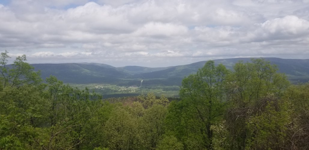 20220429_123326.jpg 20220429_123326.jpg