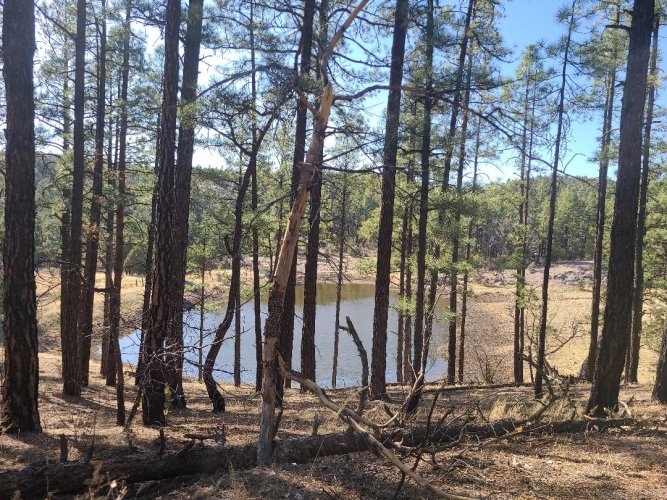 NM Waterhole.jpeg NM Waterhole.jpeg