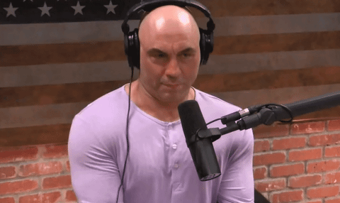 giphy.gif giphy.gif