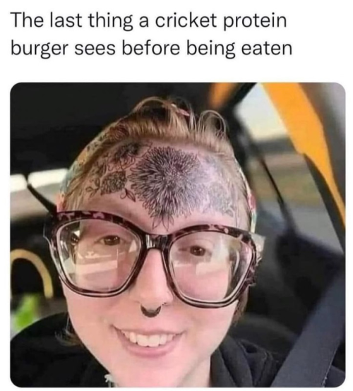 1676906067649.png