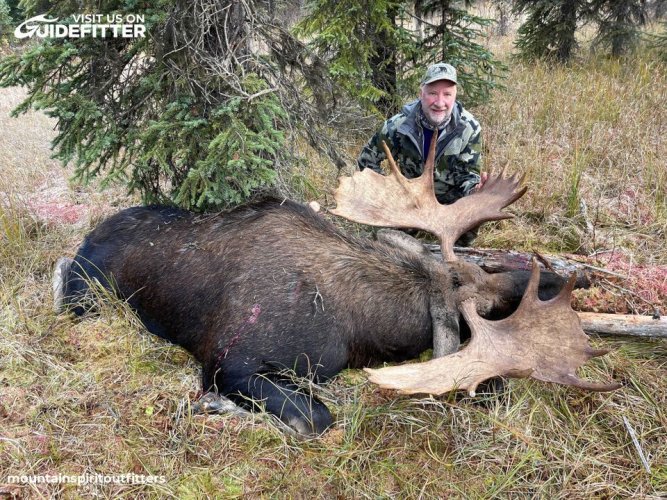 Moose 1.jpg Moose 1.jpg