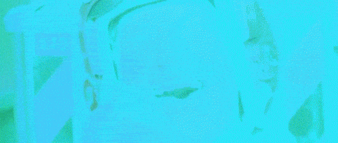 1677539810886.gif 1677539810886.gif