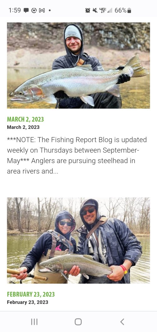Screenshot_20230305-135952_Chrome.jpg Screenshot_20230305-135952_Chrome.jpg