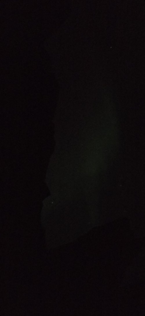 Screenshot_20230305_024534_Gallery.jpg