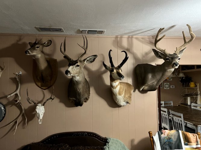 wall.jpg wall.jpg