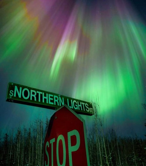 Northern Lights.jpg