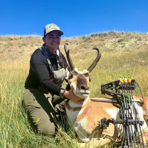 antelope 1.jpeg antelope 1.jpeg