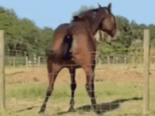 1678631696023.gif 1678631696023.gif