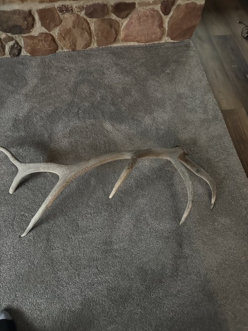 3A7FC71D-3BB6-44BC-A908-03E73C1E6674.jpeg 3A7FC71D-3BB6-44BC-A908-03E73C1E6674.jpeg