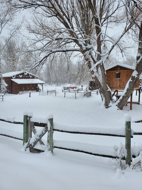 March Springtime in the Rockies.jpg