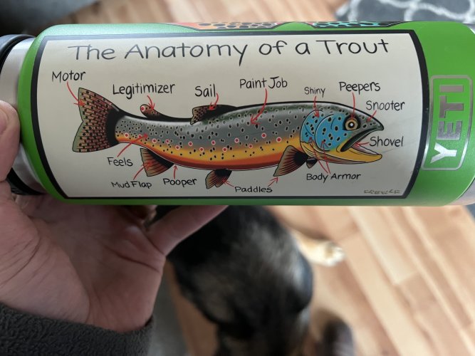 trout.jpg